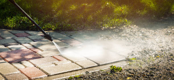 Best Dumpster Area Cleaning  in Davie, FL